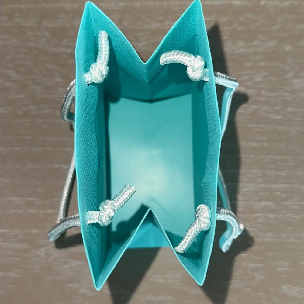 Tiffany & Co. Gift Bag with White Card